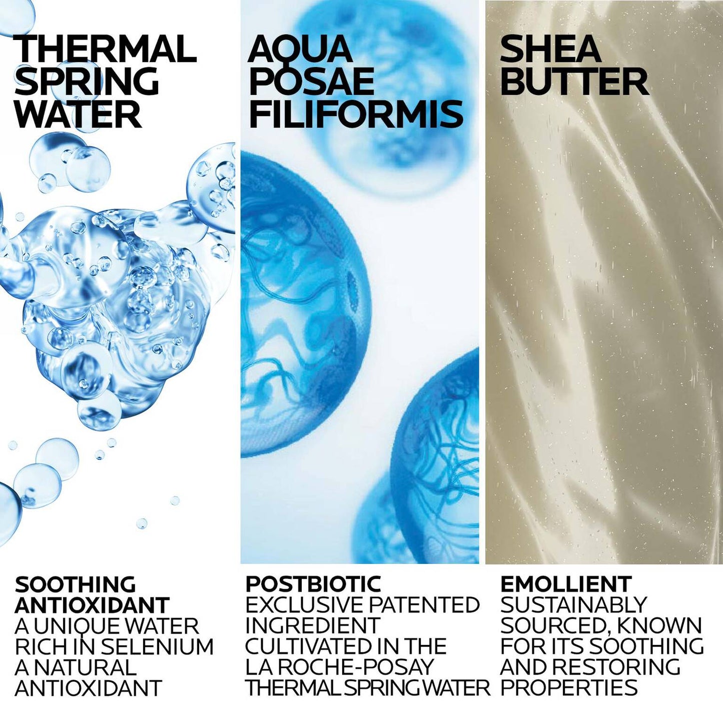lipikar-wash-ap-moisturizing-body-and-face-wash-d8 Lipikar-Wash-ingredients_1500x1500-REV.jpg